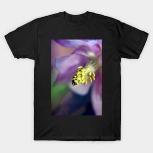 Purple Aquilegia flower T-Shirt